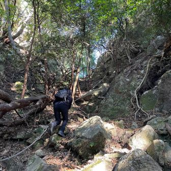 超、急登山
ロープ助かります