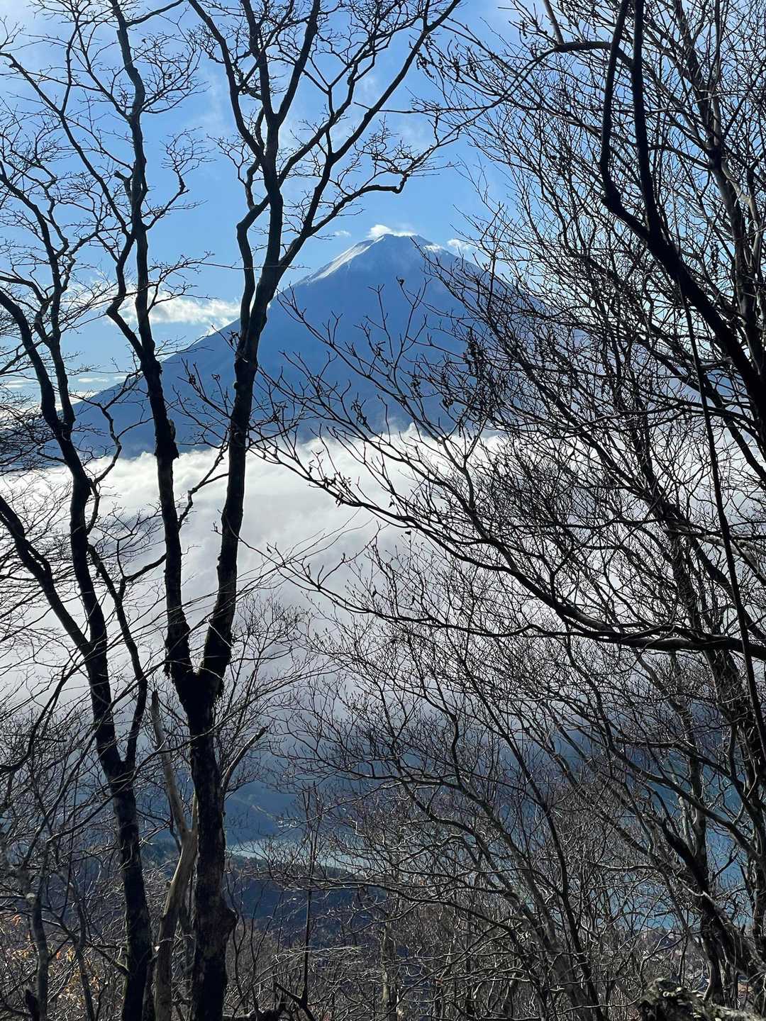途中、とうとうてっぺんも見えてきた🗻
やったーー