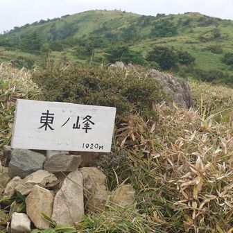 カラカラ