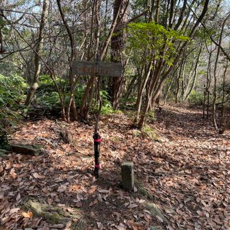 1人では来れなかったけれど　槍ヶ岳をご一緒して頂いた先輩となら頑張れた！お昼にしましょう