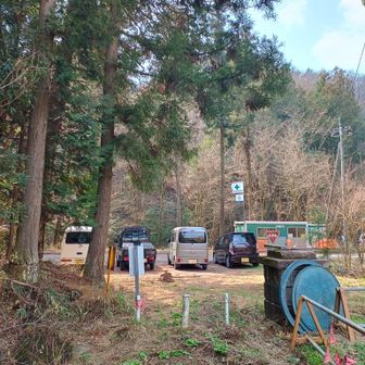 行動再開したら一気に登山口に下山完了！お疲れ様でしたー😆

登山開始前から通行止めのハプニングはあったものの計画通りに行動出来て良かったです。ミツマタはもうすぐ終わりですが焼森山・鶏足山にはちょこちょこと登りに来ると思うので、その都度、ミツマタ群生エリアの様子を見に来ようかと思います。


今日は着替えずにActyに乗り込み次のお山である雨巻山へGO！💨
https://yamap.com/activities/47121364