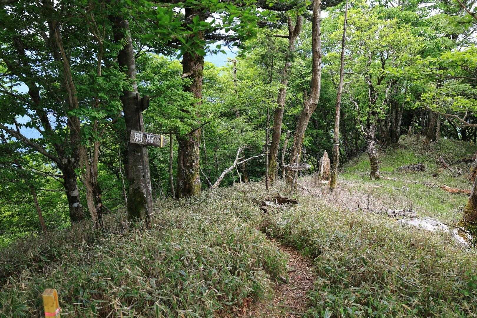 普通の登山道も500ｍくらいで終了