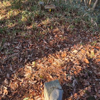 ゲット🔼
綿はるさん♪ ありがとうございます😊 