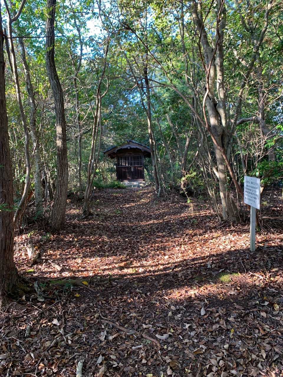 小富士山の写真
