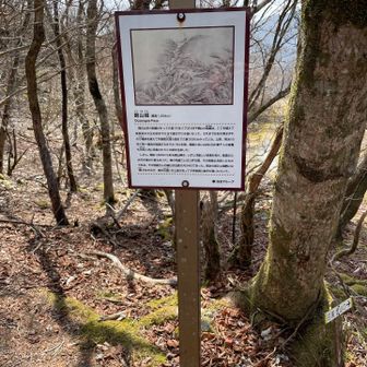 銅山越の説明📝