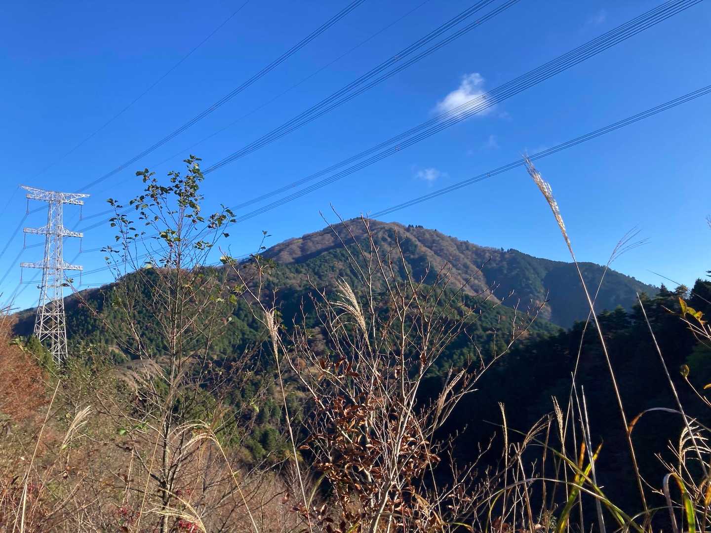 大山ドーン