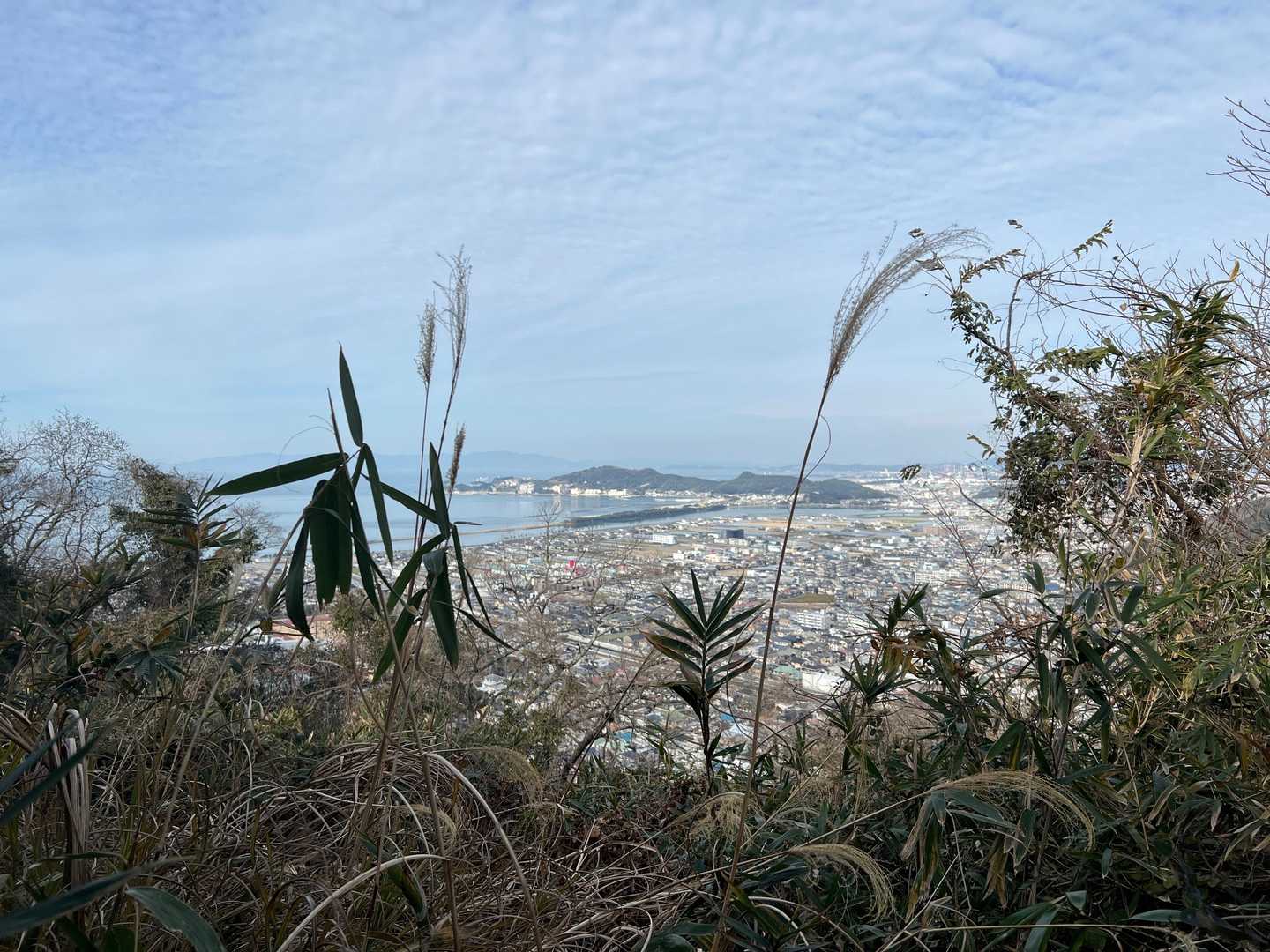 ここの山頂🔝からも海が見えます🏖
良いね〜👍🏼