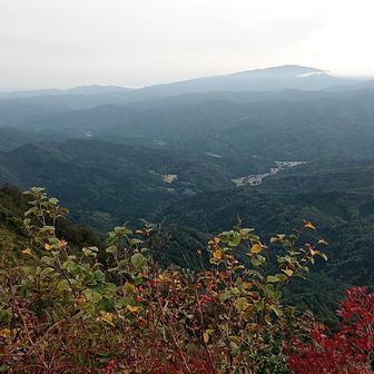たぶん月山