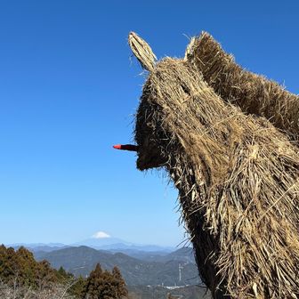 大きな干支🐴🥕
