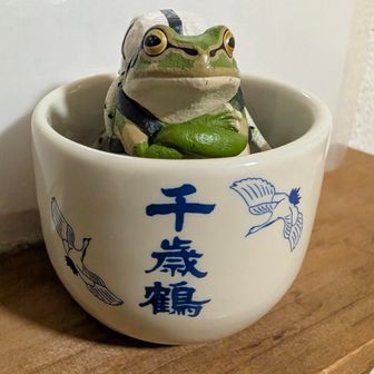 たいしょー