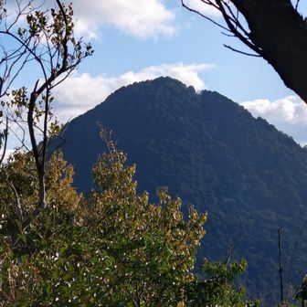 妙光寺山からの三上山

