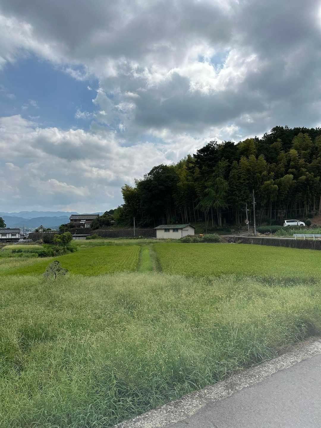 のどかな景色を眺めながら