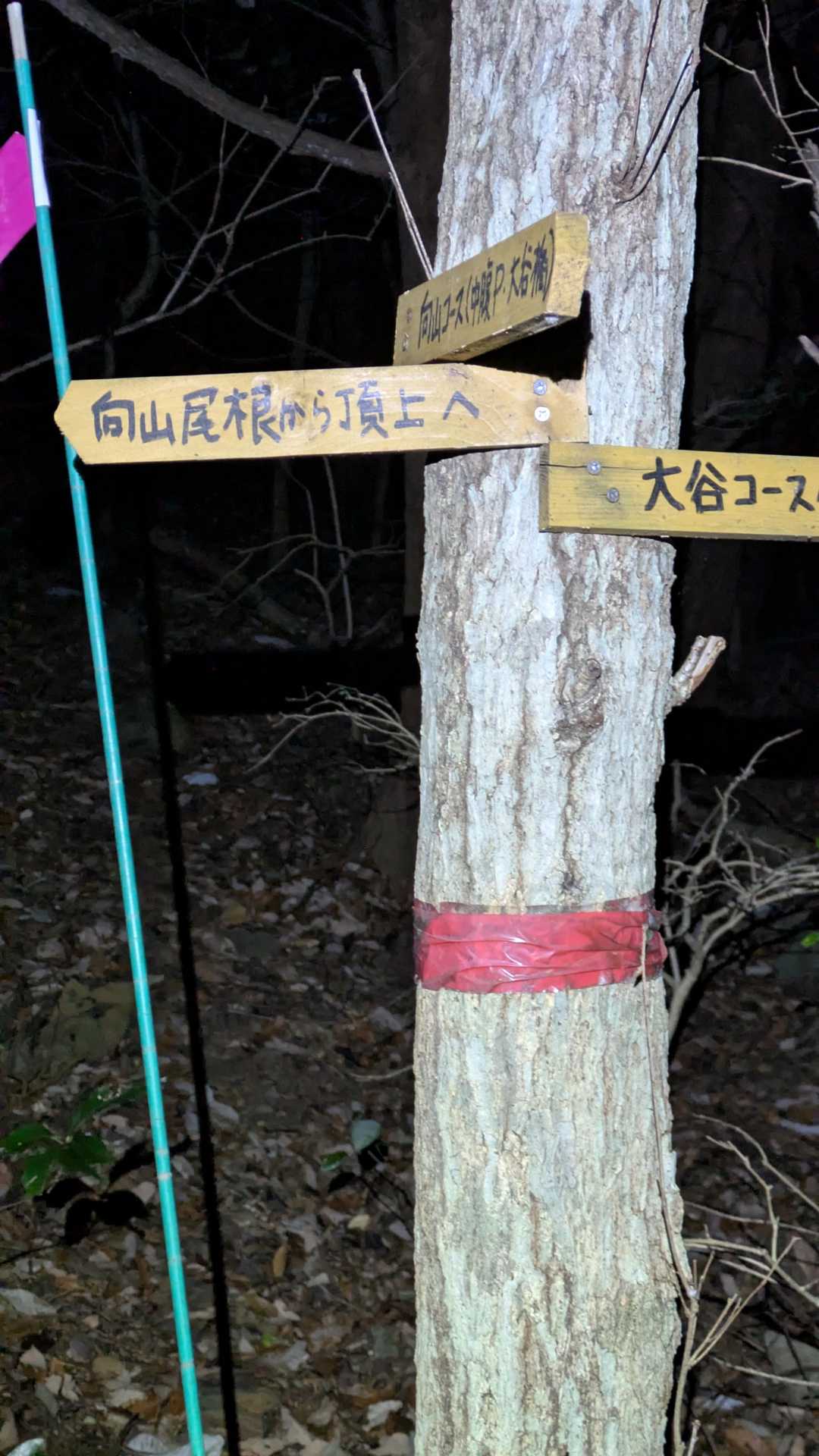　標識がやたらあって逆に難しい・・😢