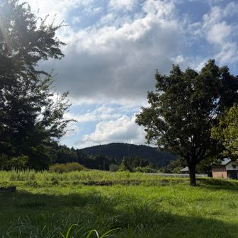 ツクツクボウシも鳴いてて夏も終わりかな？