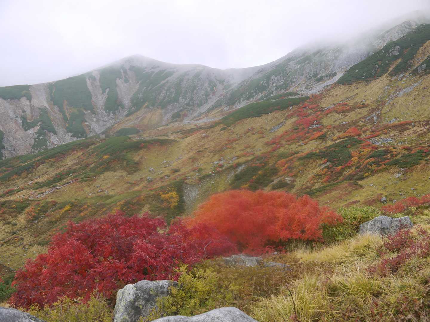 室堂登山口-浄土山-一ノ越 周回コースの写真