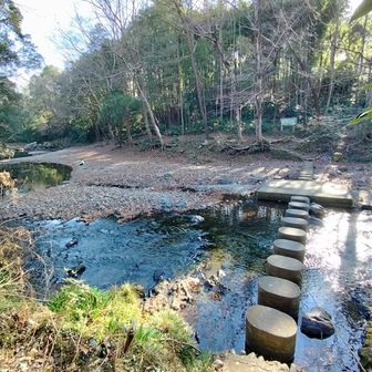 これがドレミファ橋