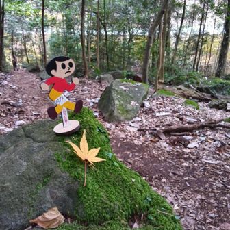 苔岩に立つとび太くん
押さんといてや‼️
下、こんなんや堺市😆