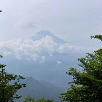 富士山が見えてラッキー