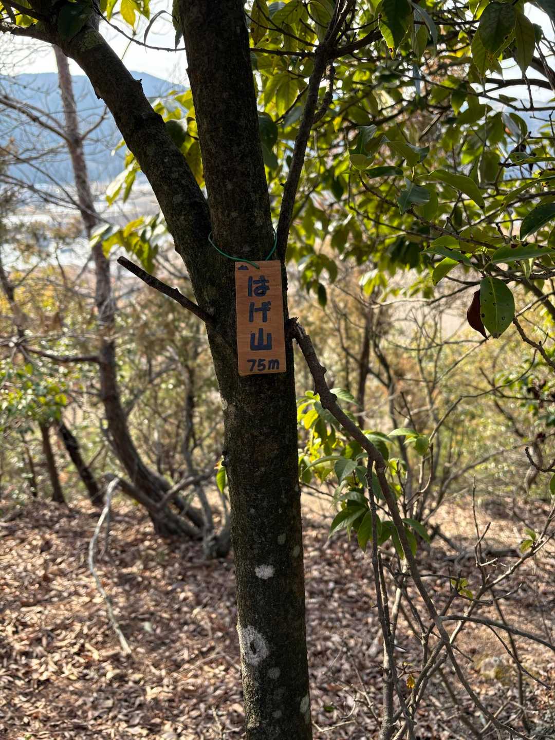 ‘はげ山’もGETできました