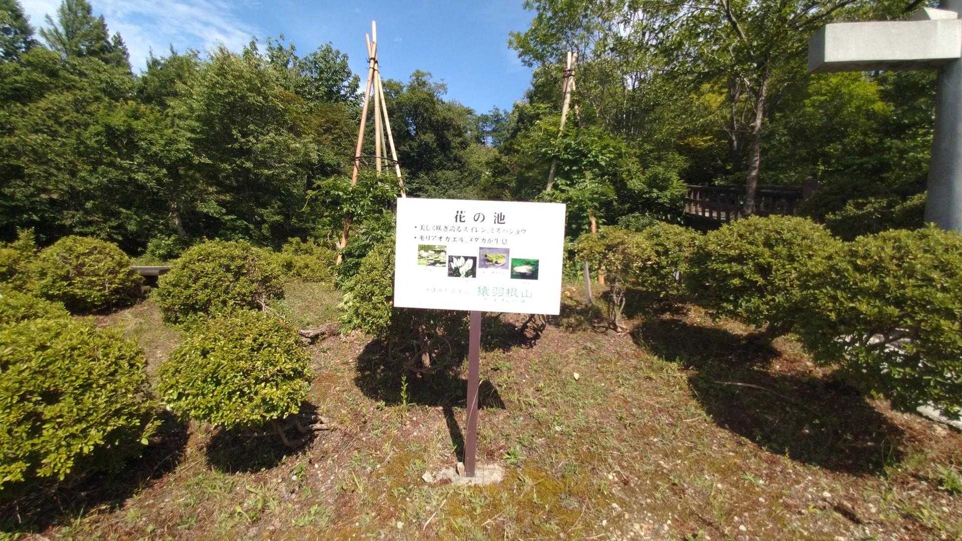 猿羽根山 往復コースの写真