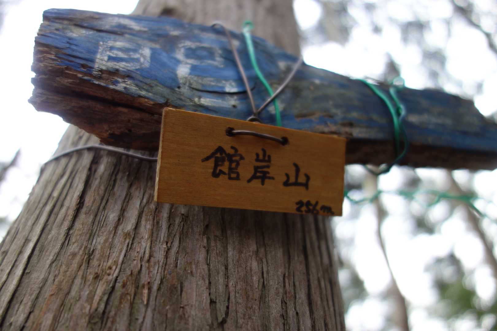 舘岸山