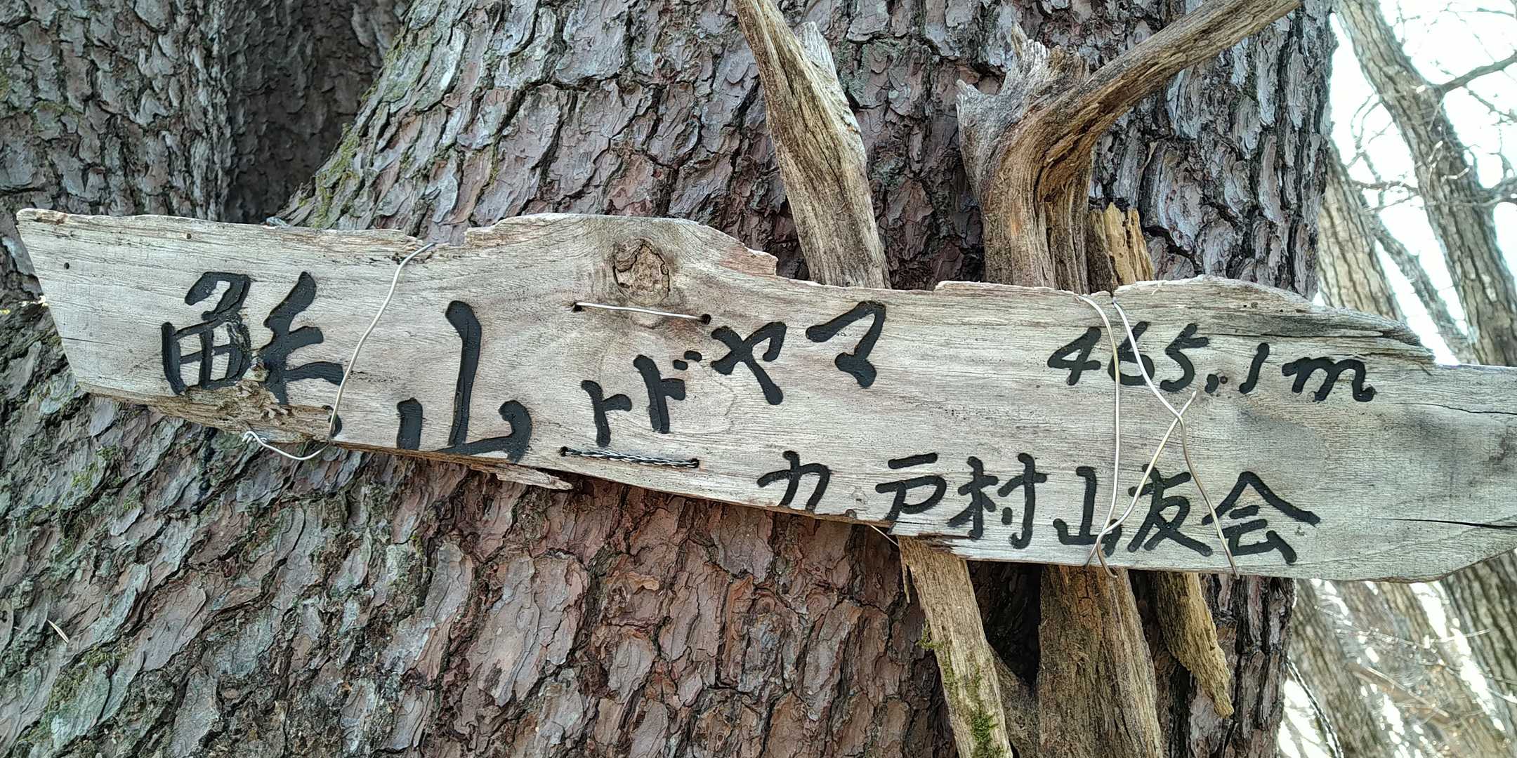 トド山の写真