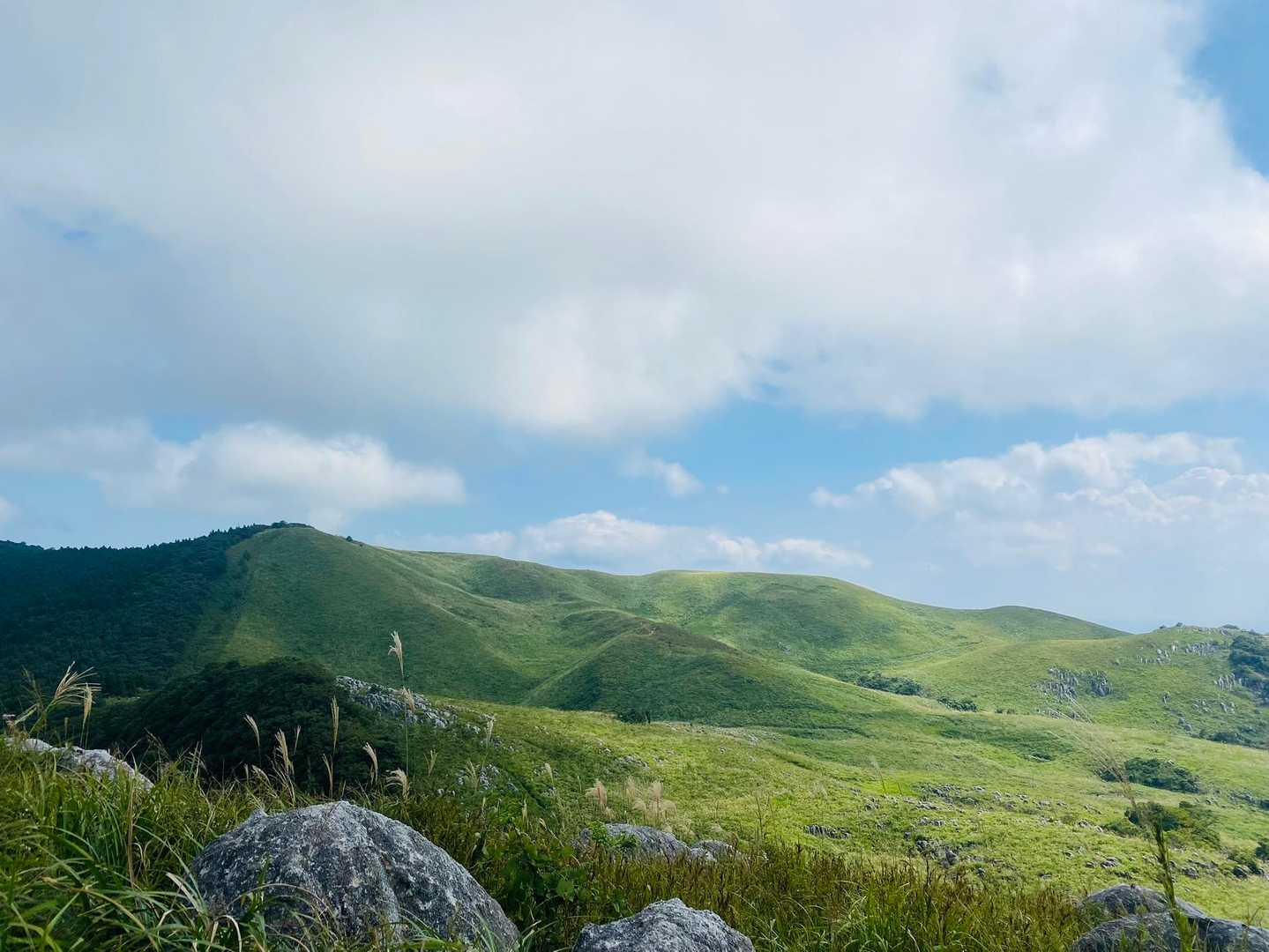 吹上峠-大平山 周回コースの写真