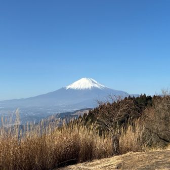 高松山山頂からの富士山。
大野山と同様に山頂は広々としていて開放感がありとても気持ちが良いです。
