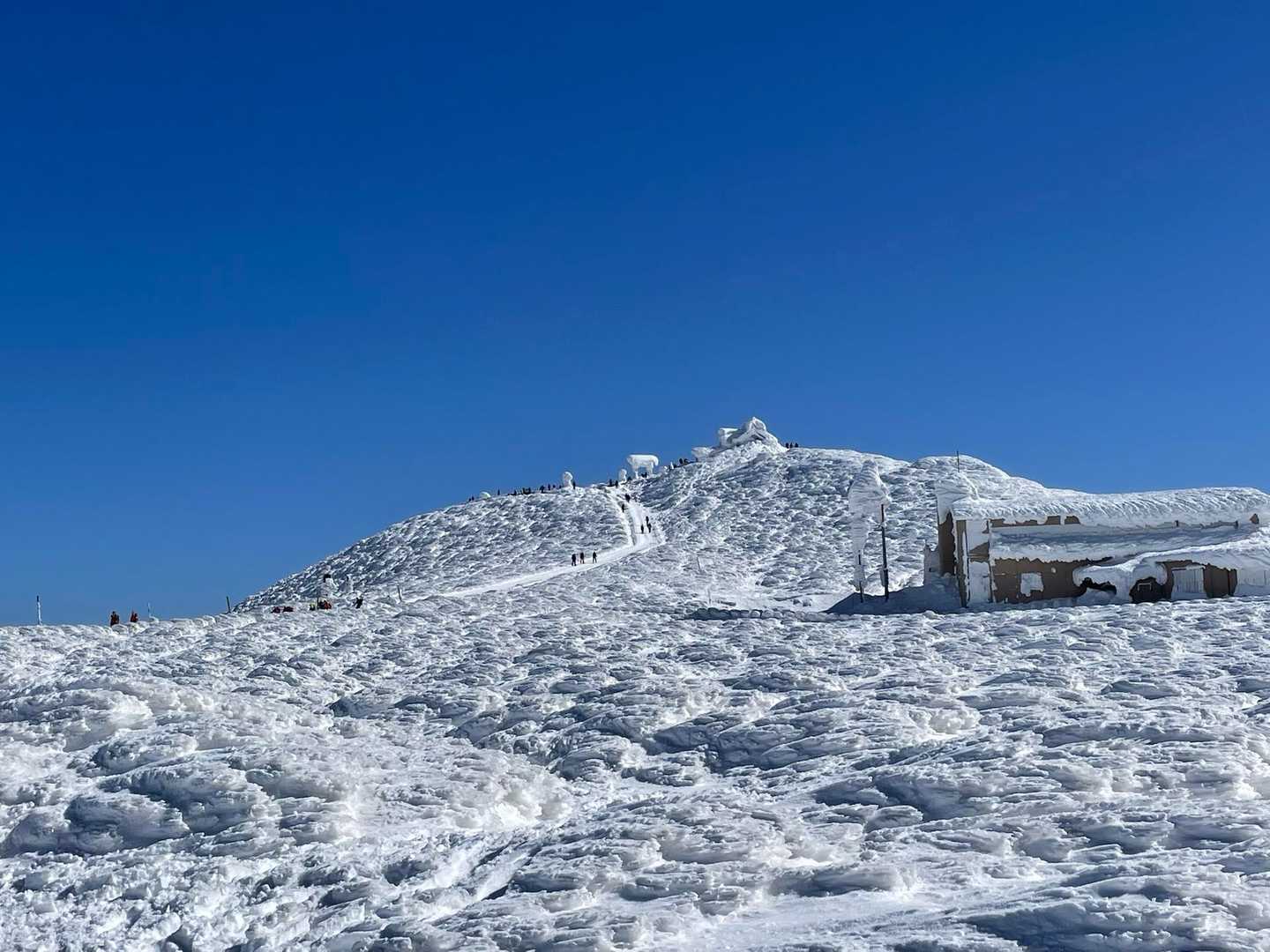 頂上が雪のお城みたいに思いました❄️🏰