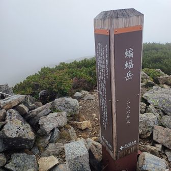 やっと着いた...　遠かった 蝙蝠岳頂上