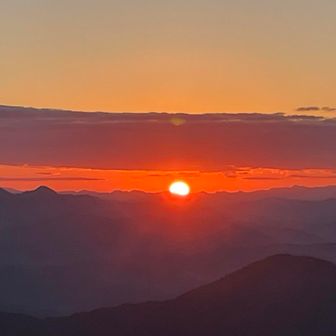 慌ててスマホ取り出しました！