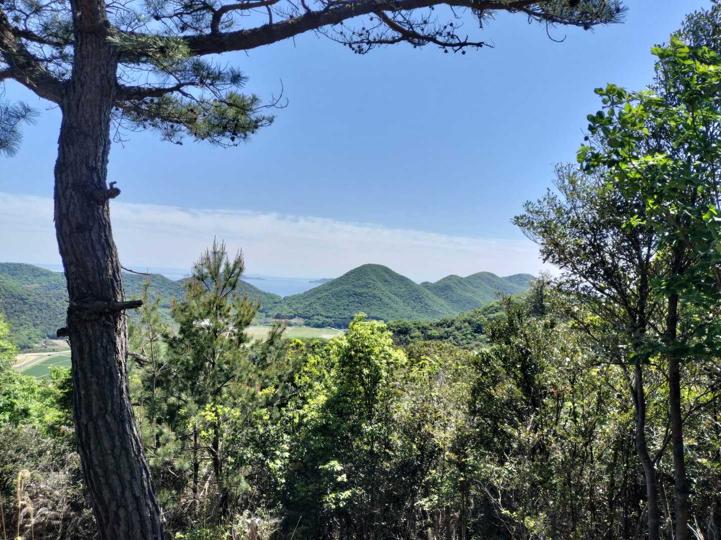 今日は空気も比較的に澄んでいて景色が美しい
瀬戸内海も見えてますよ