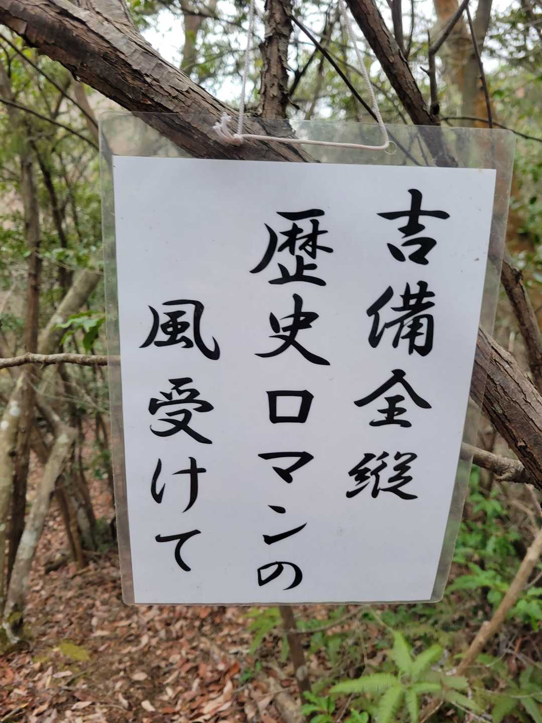 この句好きですね✏️