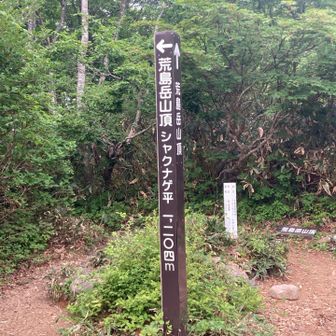 ここからが結構きつかった
