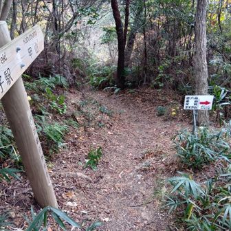 画像から見て右ルートは東山。今回は南側から通ってみましたが、特に藪漕ぎ等をするほどではなく、概ね道として通ることが出来ました。