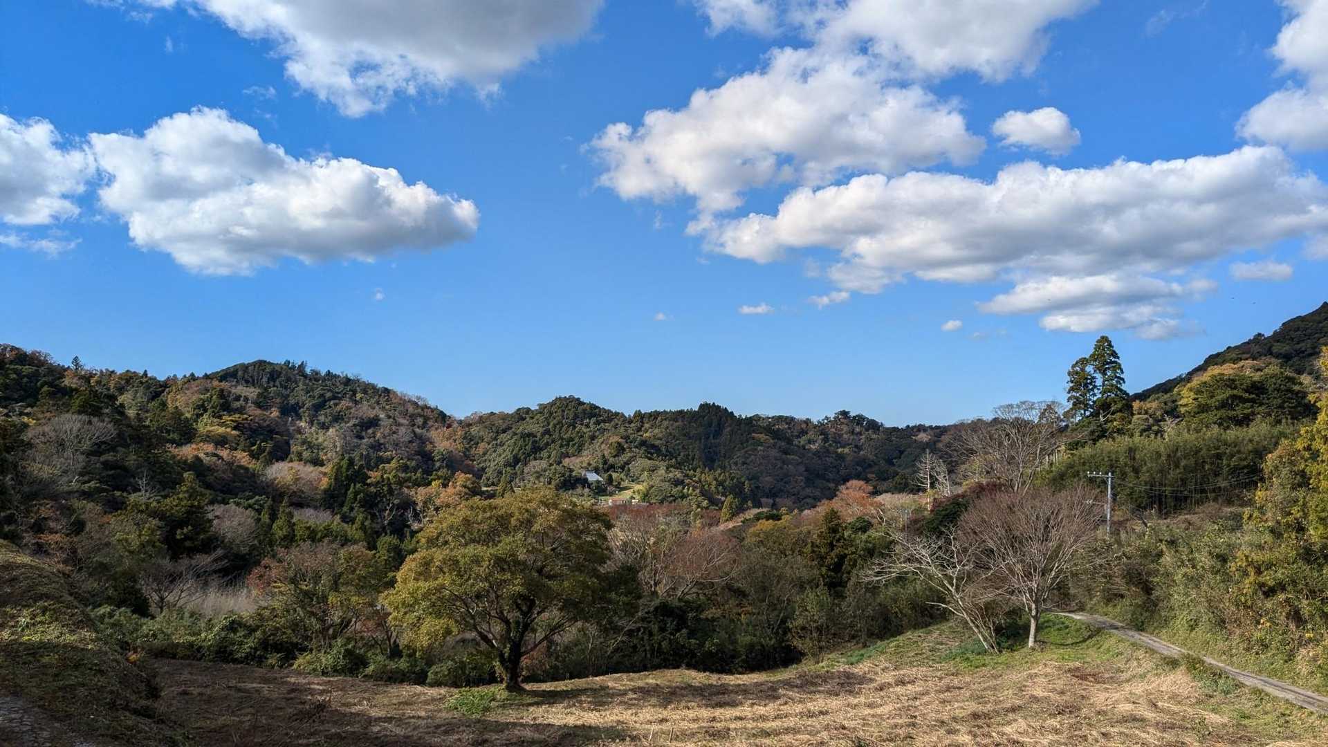 津森山⛰️はどれかなぁ🤔