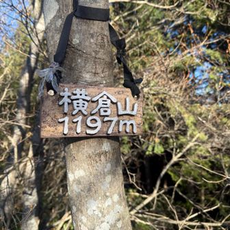 眺望なし、ベンチなし、大持山peakに戻るには超急登