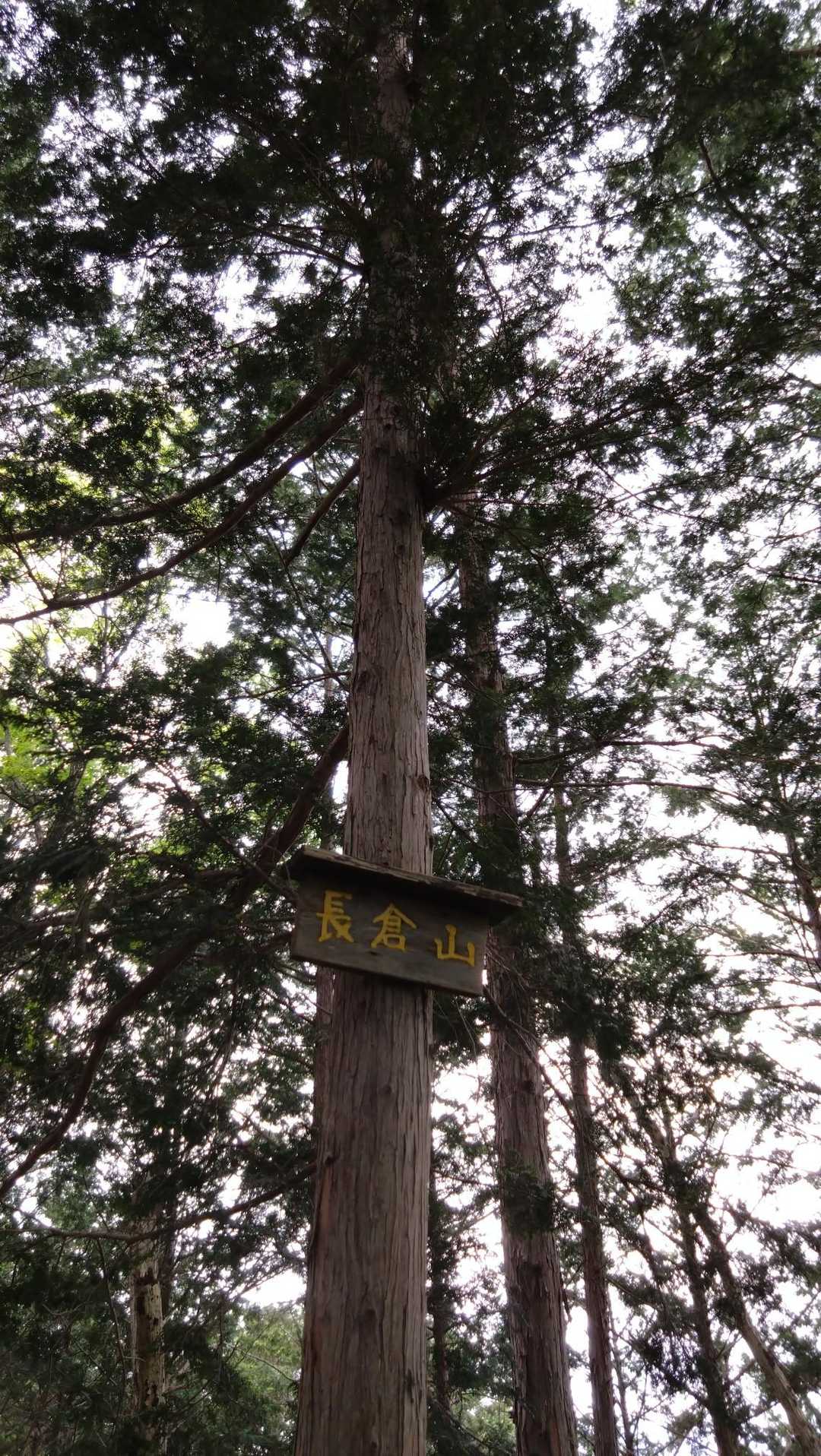 今日はここまで…