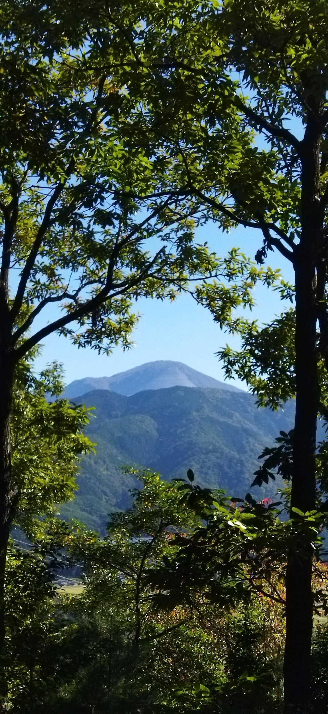 間から伊吹山！
