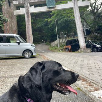 お疲れ山でした