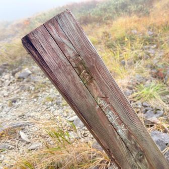 金玉水はここから先ちょっと遠そうだったから、私は体力温存でここで待つ笑