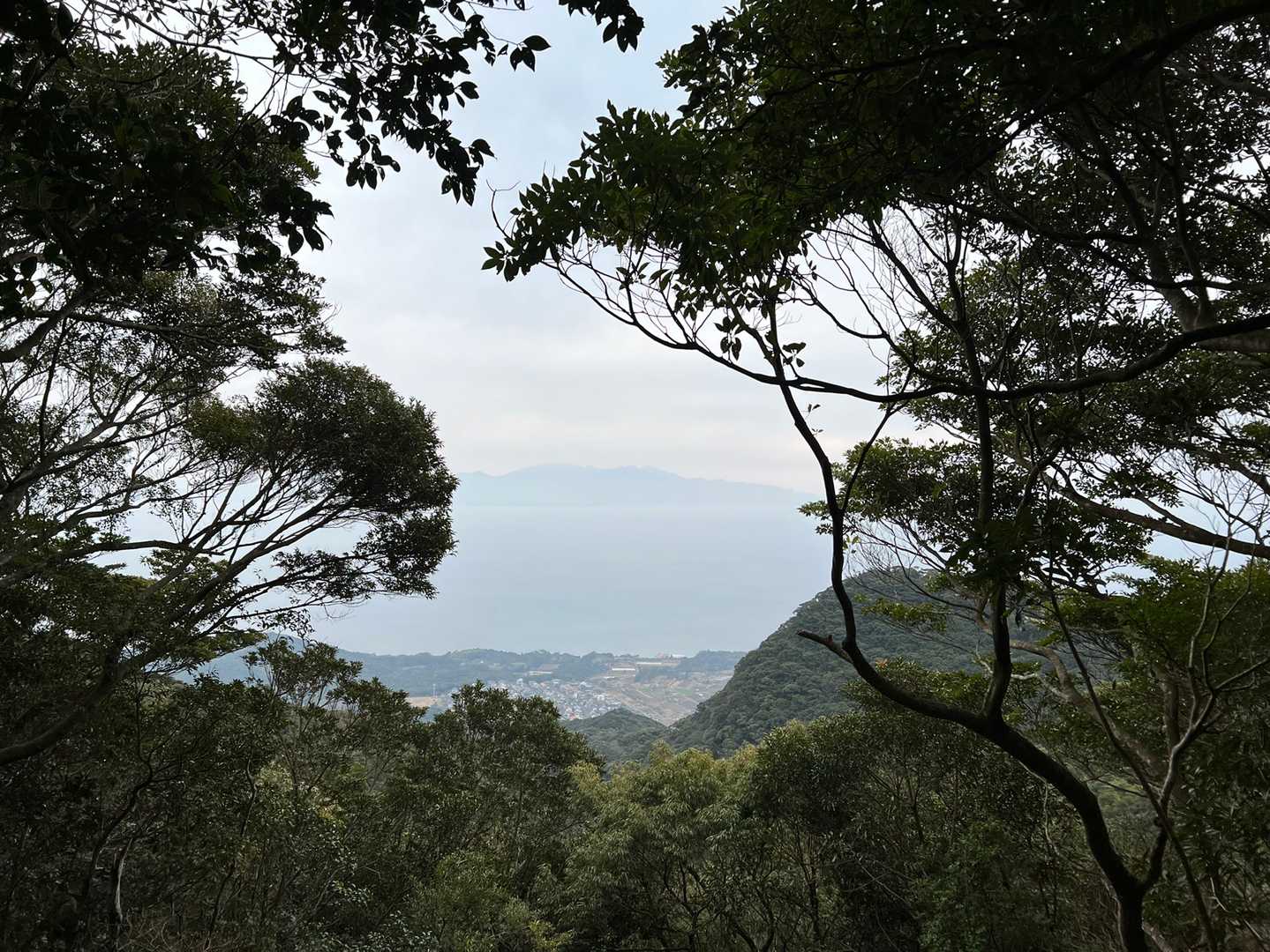 小さく視界が開けました。
大隈の高隈山でしょうか？
晴れてたら絶景なんでしょうねぇ。
でも、今日は充分なんです。