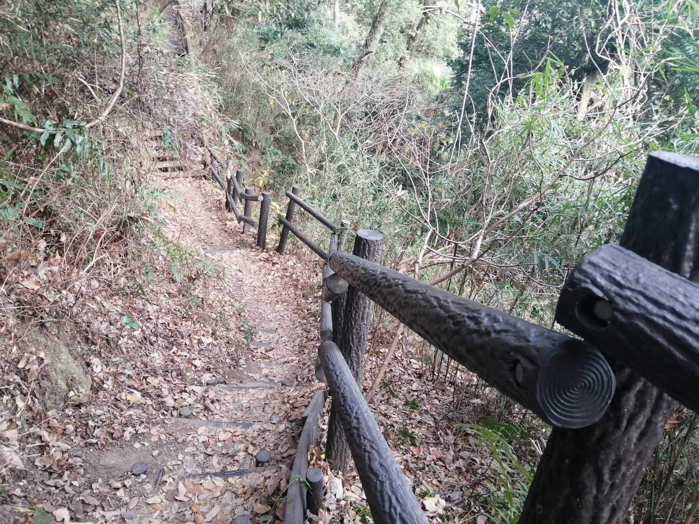 こんな道で歩きやすい