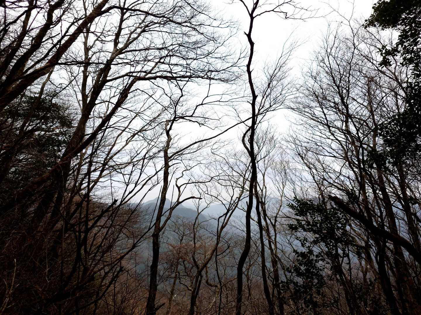 五家原岳-中岳 往復コースの写真