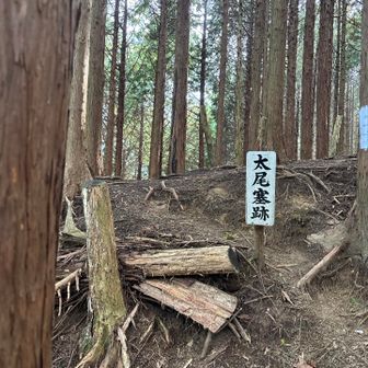 メインルートと合流地点