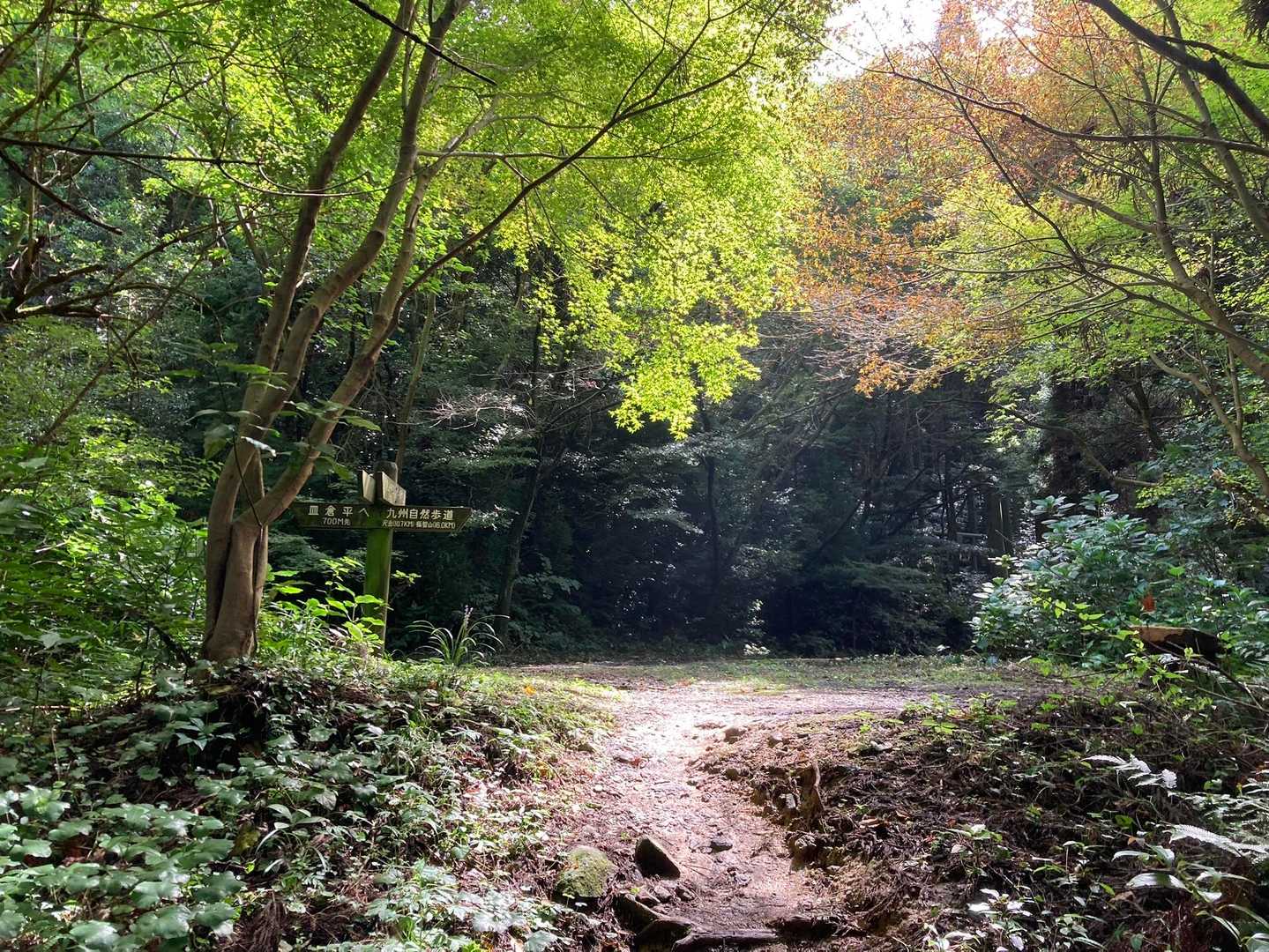 権現山周回路へ