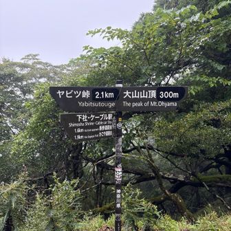 あと少しで山頂