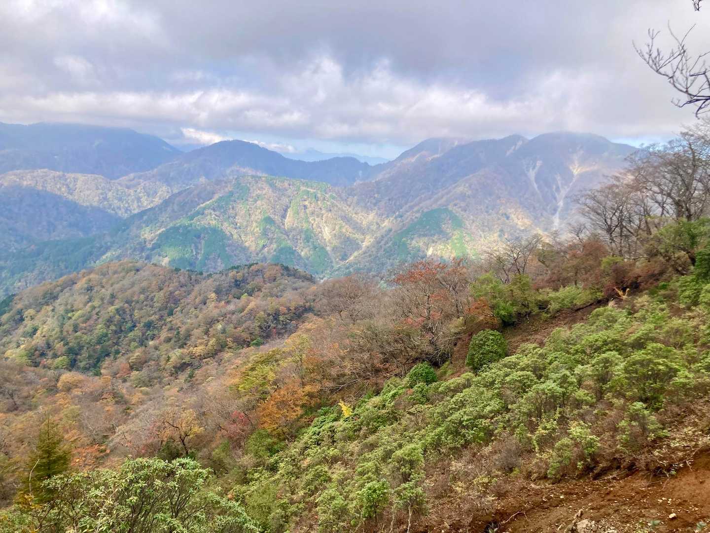 大倉バス停-観音茶屋-堀山-花立ノ頭-塔ノ岳-小丸-鍋割山 周回コースの写真