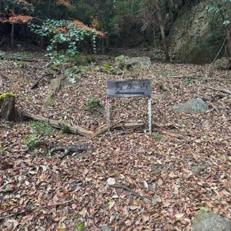 看板、めっけ！