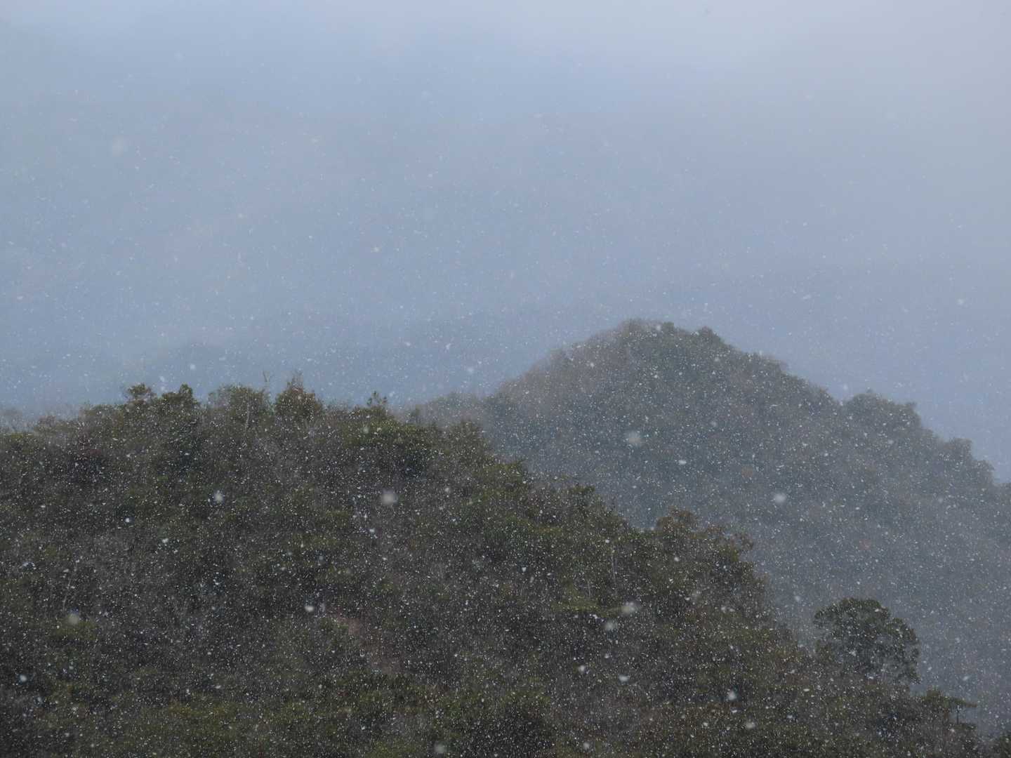 雪が降り出した